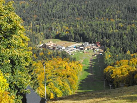 Dzikowiec Wielki w Górach Kamiennych s8 - PTTK Strzelin