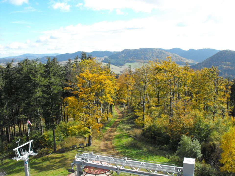 Dzikowiec Wielki w Górach Kamiennych s003 - PTTK Strzelin