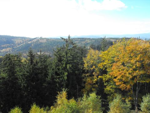 Dzikowiec Wielki w Górach Kamiennych s15 - PTTK Strzelin