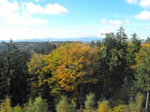 Dzikowiec Wielki w Górach Kamiennych s16 - PTTK Strzelin