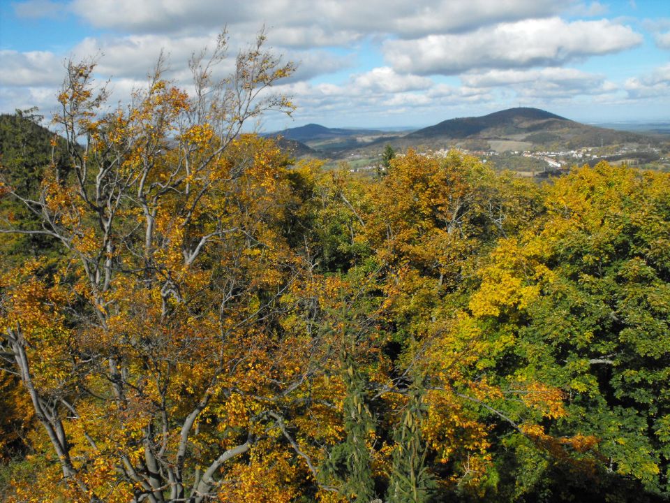 Dzikowiec Wielki w Górach Kamiennych s003 - PTTK Strzelin