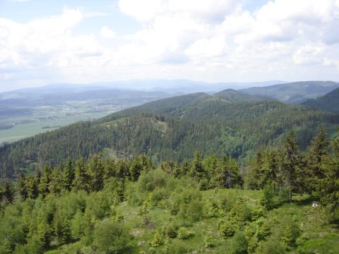 Ruprechticki Szpiczak - widok  z wie�y s005 - PTTK Strzelin