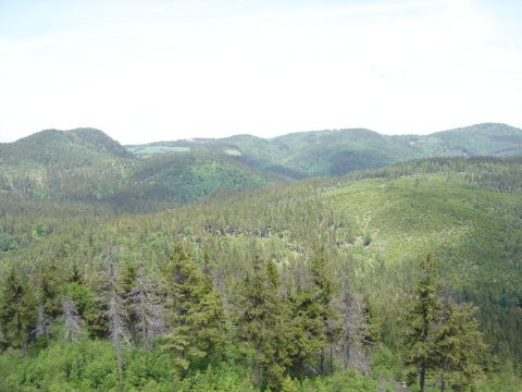 Ruprechticki Szpiczak - widok  z wie�y s009 - PTTK Strzelin