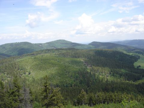 Ruprechticki Szpiczak - widok  z wie�y s010 - PTTK Strzelin