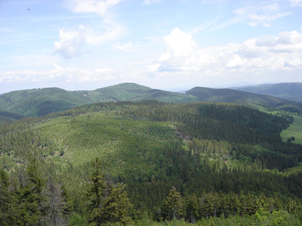 Ruprechticki Szpiczak - widok  z wie�y d010 - PTTK Strzelin