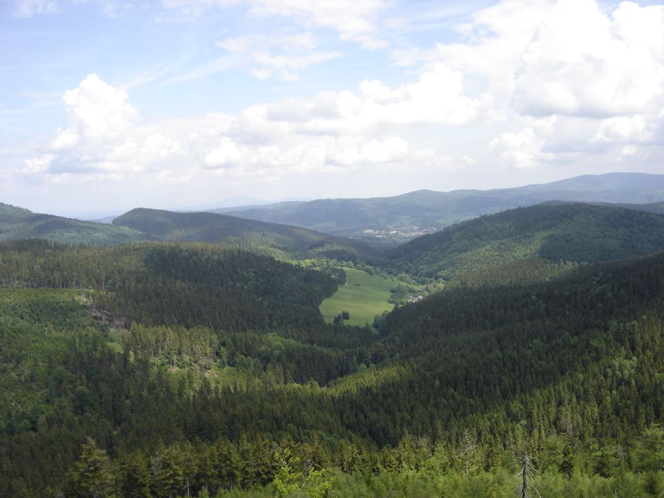 Ruprechticki Szpiczak - widok  z wie�y d011 - PTTK Strzelin