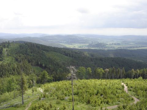 Ruprechticki Szpiczak - widok  z wie�y s013 - PTTK Strzelin