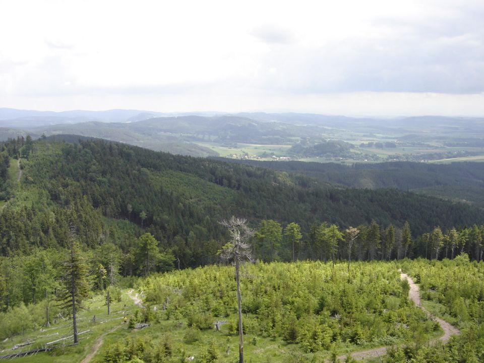 Ruprechticki Szpiczak - widok  z wie�y d013 - PTTK Strzelin