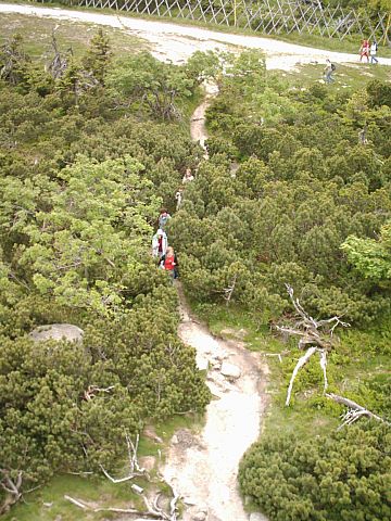 �cie�ka do Ko�skich �b�w