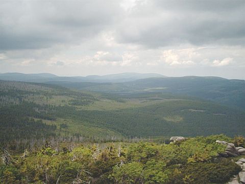 Widok z Ko�skich �b�w