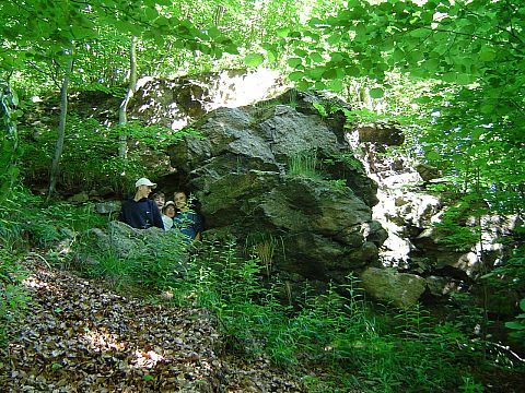 Ska�y na Wzg�rzu Radziwi���wka