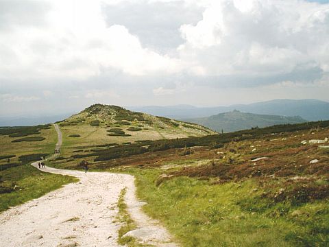 Karkonosze - �abski Szczyt, w tle Szrenica