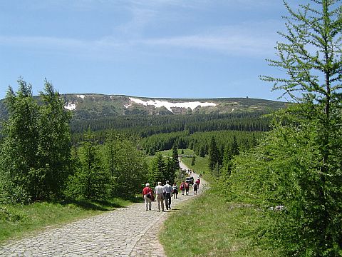 Zej�cie na Polan�