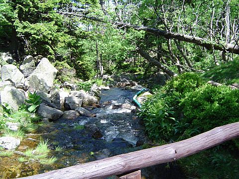 Potok przy Domku My�liwskim