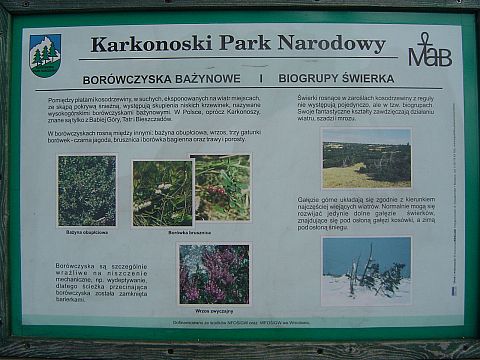 Tablica ko�o Strzechy