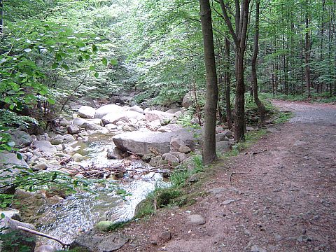 Podg�rna ko�o wodospadu