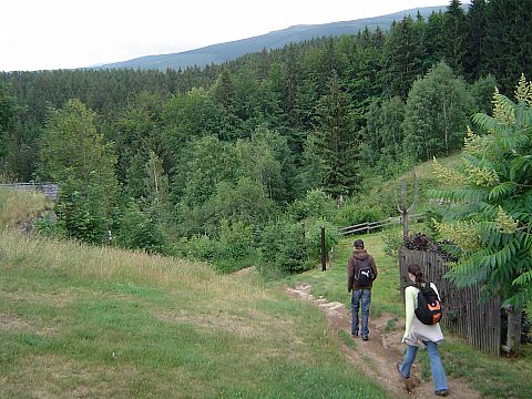 Przesieka - zej�cie do Wodospadu Podg�rnej