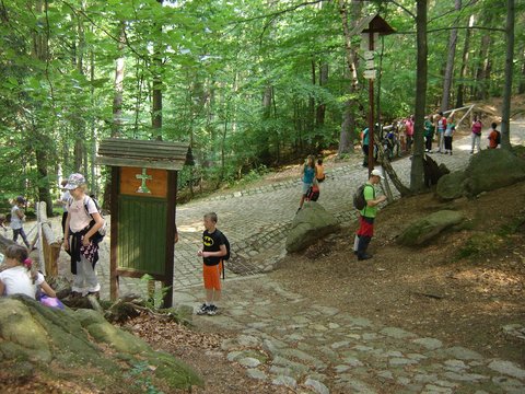 XVIII Rajd Karkonoski s21 - PTTK Strzelin