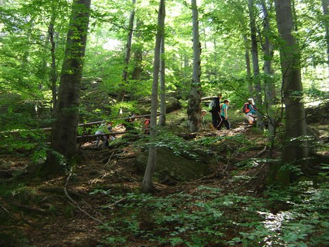 XVIII Rajd Karkonoski s29 - PTTK Strzelin