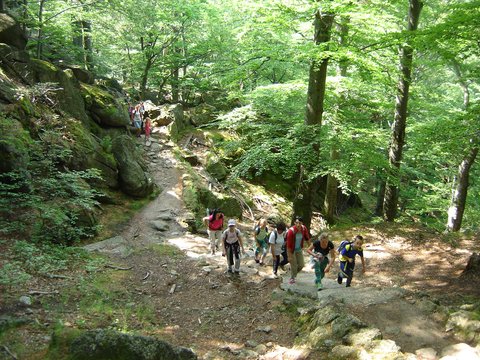 XVIII Rajd Karkonoski s37 - PTTK Strzelin