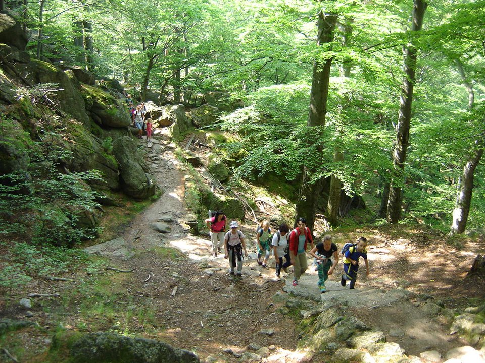 Wycieczka w Karkonosze s002 - PTTK Strzelin