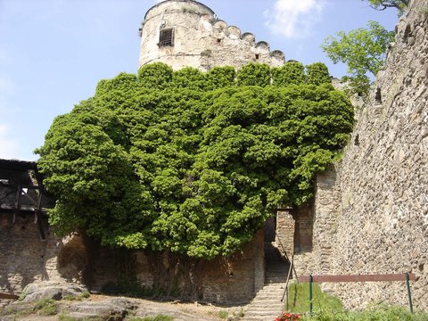 XVIII Rajd Karkonoski s62 - PTTK Strzelin