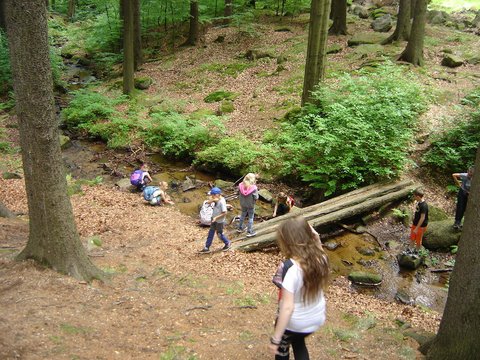 XVIII Rajd Karkonoski s115 - PTTK Strzelin