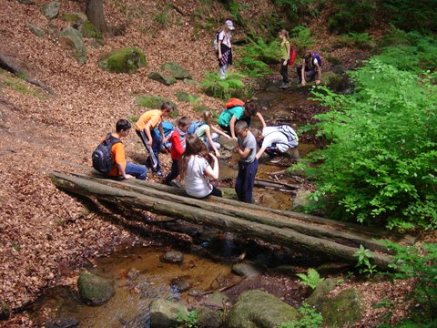 XVIII Rajd Karkonoski s116 - PTTK Strzelin
