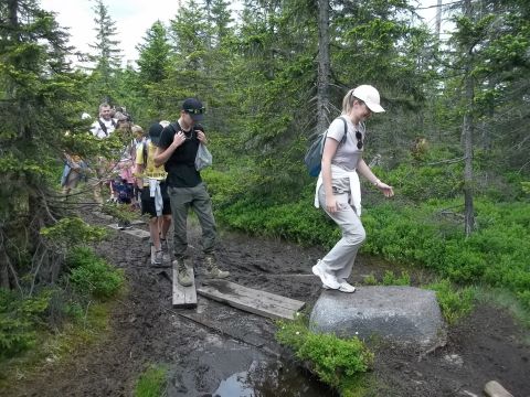 Wycieczka w Karkonosze s28 - PTTK Strzelin