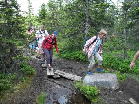 Wycieczka w Karkonosze s31 - PTTK Strzelin