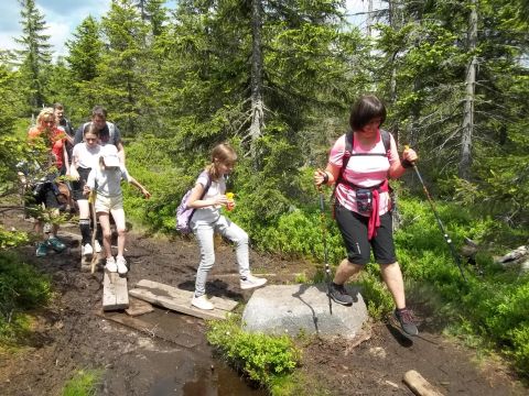 Wycieczka w Karkonosze s35 - PTTK Strzelin