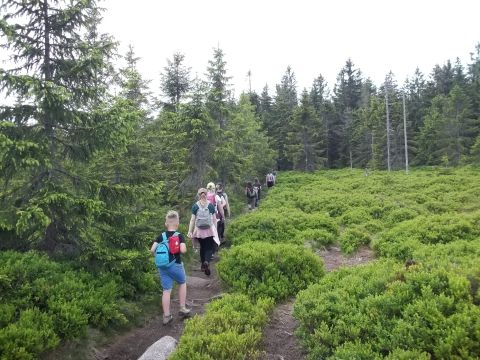 Wycieczka w Karkonosze s40 - PTTK Strzelin