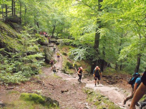 Wycieczka w Karkonosze s27 - PTTK Strzelin