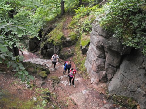 Wycieczka w Karkonosze s45 - PTTK Strzelin