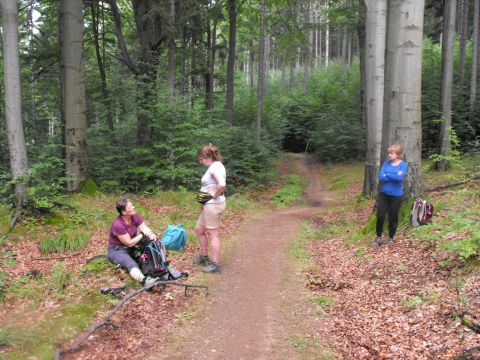 Wycieczka w Karkonosze s84 - PTTK Strzelin