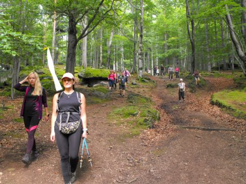 Wycieczka w Karkonosze s88 - PTTK Strzelin