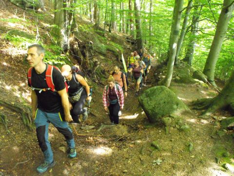 Wycieczka w Karkonosze s91 - PTTK Strzelin