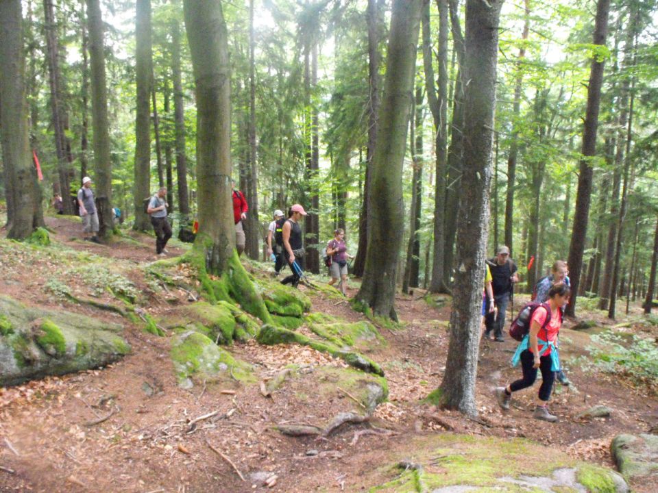 Wycieczka w Karkonosze s002 - PTTK Strzelin