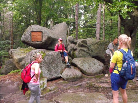 Wycieczka w Karkonosze s115 - PTTK Strzelin