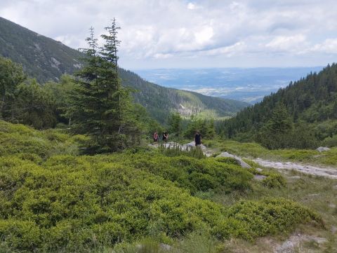 Wycieczka w Karkonosze s38 - PTTK Strzelin