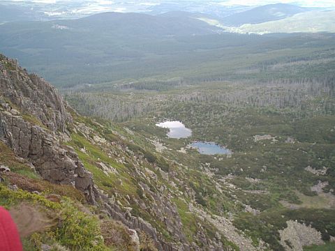 Stawki w �nie�nych Kot�ach