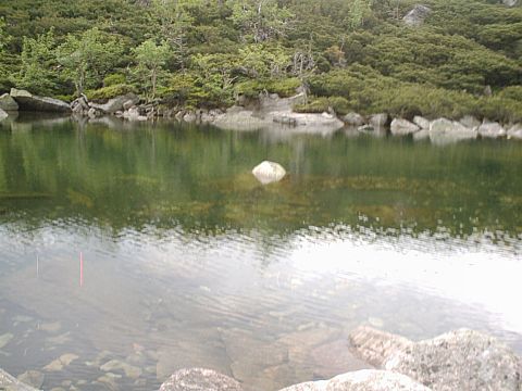 Staw w �nie�nych Kot�ach