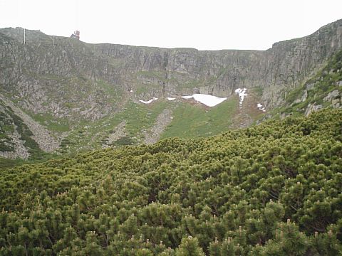 Ma�y �nie�ny Kocio�