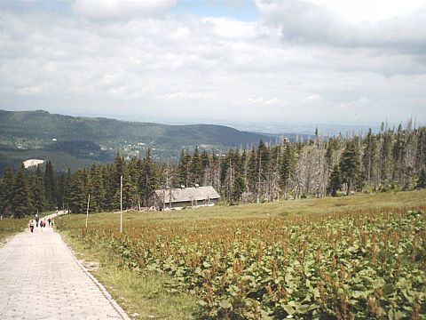 Widok spod schroniska na Hali Szrenickiej