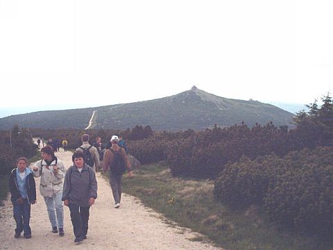 Widok na Szrenic� od wschodu