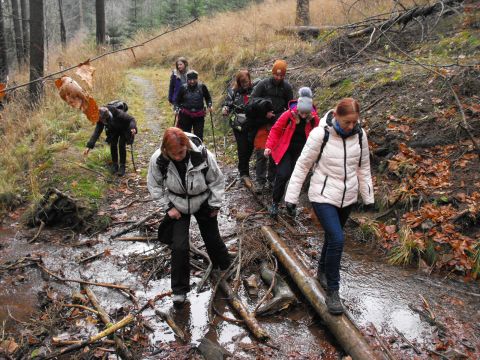 Wycieczka Vraní hory s19 - PTTK Strzelin