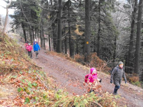 Wycieczka Vraní hory s63 - PTTK Strzelin