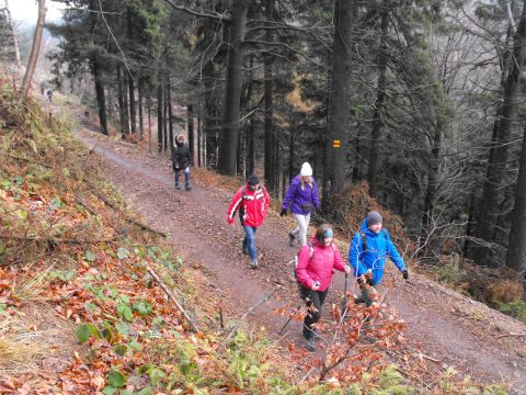 Wycieczka Vraní hory s64 - PTTK Strzelin