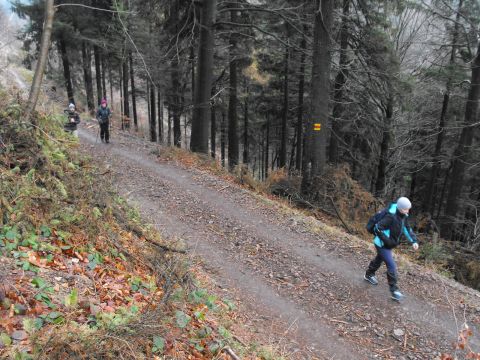 Wycieczka Vraní hory s65 - PTTK Strzelin