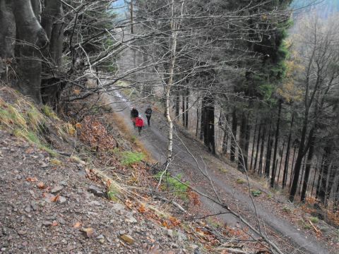 Wycieczka Vraní hory s66 - PTTK Strzelin